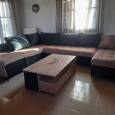 Elena'S Family House Apartment Artemida  Ngoại thất bức ảnh